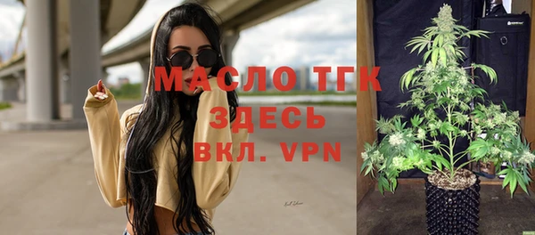 шишки Кодинск